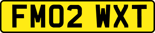 FM02WXT