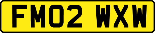 FM02WXW