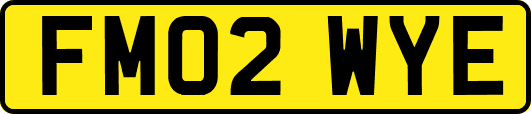 FM02WYE