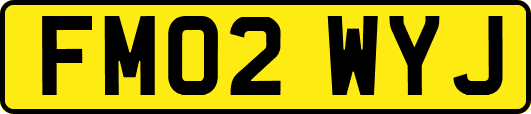 FM02WYJ