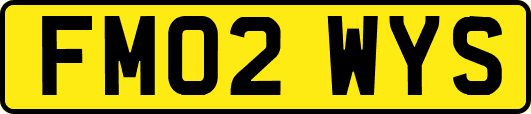 FM02WYS
