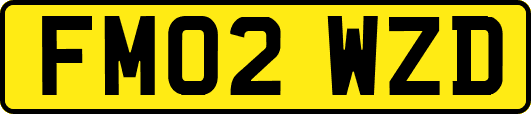 FM02WZD