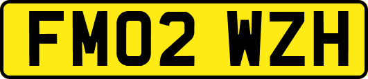 FM02WZH
