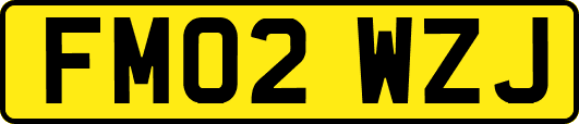 FM02WZJ
