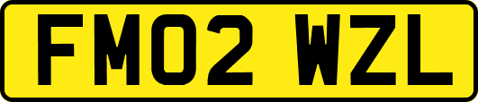 FM02WZL
