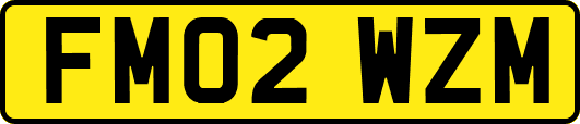 FM02WZM