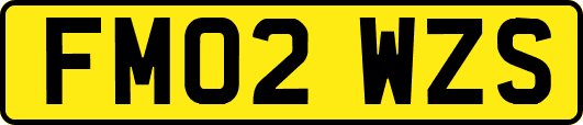 FM02WZS