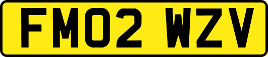 FM02WZV