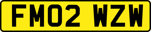 FM02WZW