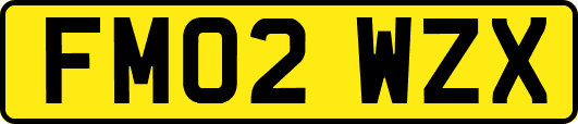 FM02WZX