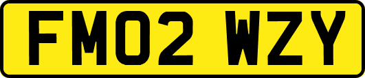 FM02WZY