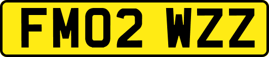 FM02WZZ
