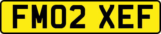 FM02XEF