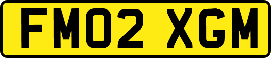 FM02XGM