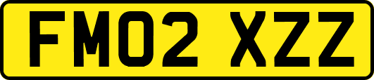 FM02XZZ