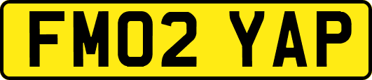 FM02YAP