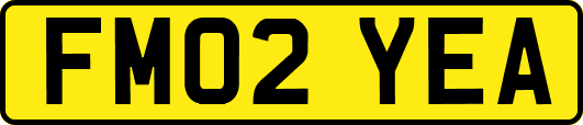 FM02YEA