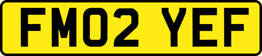 FM02YEF