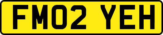 FM02YEH