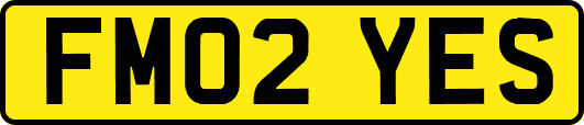 FM02YES