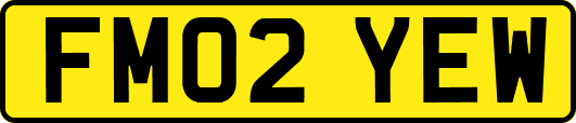 FM02YEW