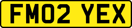 FM02YEX