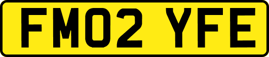 FM02YFE