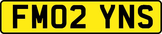 FM02YNS