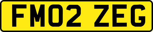 FM02ZEG