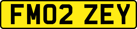 FM02ZEY