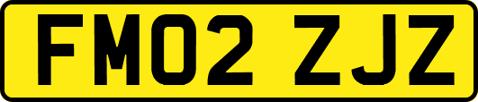 FM02ZJZ