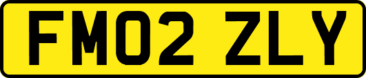 FM02ZLY