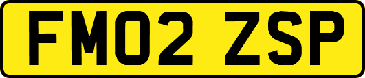 FM02ZSP