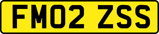 FM02ZSS