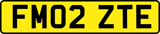 FM02ZTE