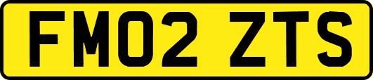 FM02ZTS