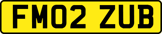 FM02ZUB