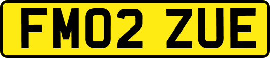FM02ZUE