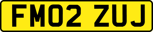 FM02ZUJ