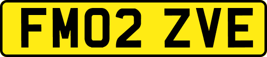 FM02ZVE