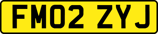FM02ZYJ