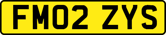 FM02ZYS
