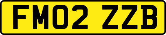 FM02ZZB