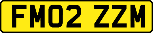 FM02ZZM