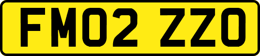 FM02ZZO
