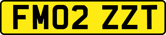 FM02ZZT