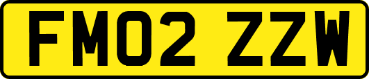 FM02ZZW