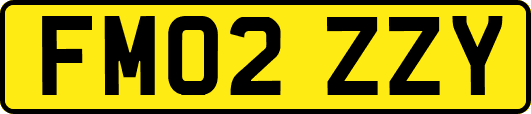 FM02ZZY