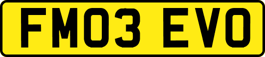 FM03EVO