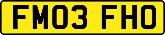 FM03FHO